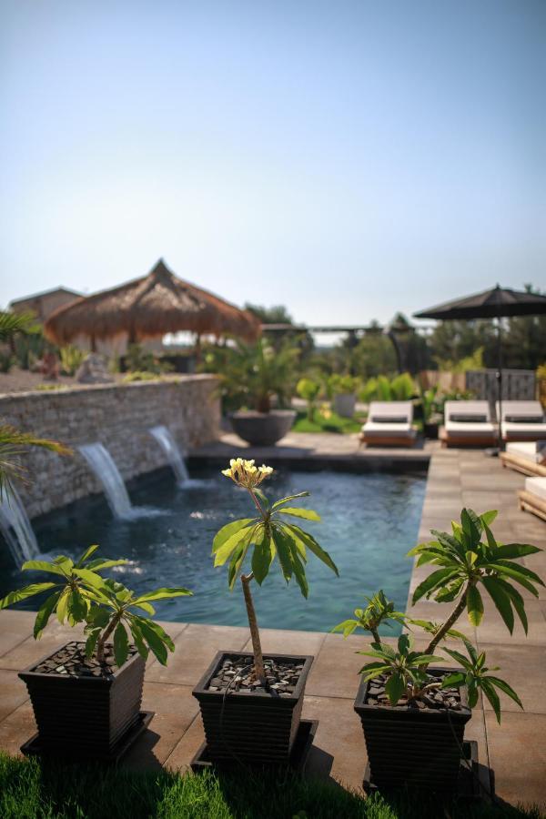 Villa Merapi Sveti Lovreč Pazenatički Esterno foto